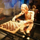 Wystawa Body Worlds Katowice (15)
