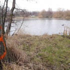 Drzewa do wycinki Dolina Trzech Stawów (4)