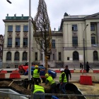 Sadzenie drzew na ul. Warszawskiej w Katowicach