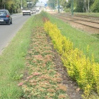 zdjęcie nr 11