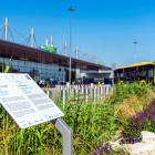 Zieleń przed terminalami w Katowice Airport (3)