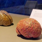 Body World (21)