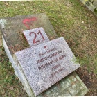 Dewastacja cmentarza żołnierzy radzieckich w Katowicach (11)