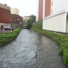 Rawa w centrum Katowic