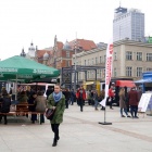 zdjęcie nr 8