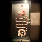 zdjęcie nr 13