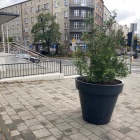 Parkowanie obok WUG (3)