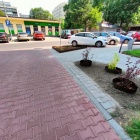 zdjęcie nr 10