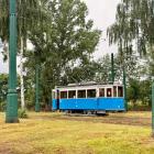 zdjęcie nr 7