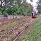 Fotka nr 2 z 11