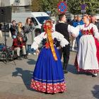 zdjęcie nr 9