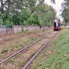 zdjęcie nr 9
