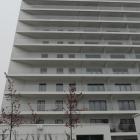 zdjęcie nr 41