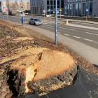 zdjęcie nr 8