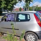 zdjęcie nr 25
