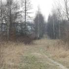Teren po kolei piaskowej to optymalny przebieg velostrady,