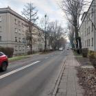 Fotka nr 4 z 8