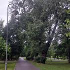 zdjęcie nr 11