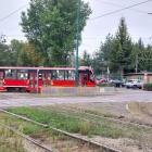 zdjęcie nr 10