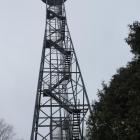 Fotka nr 2 z 11