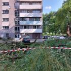 zdjęcie nr 41