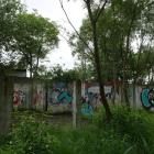Fotka nr 3 z 12