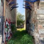 Fotka nr 4 z 10