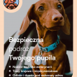 zdjęcie nr 