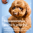 zdjęcie nr 
