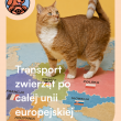 zdjęcie nr 
