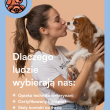zdjęcie nr 