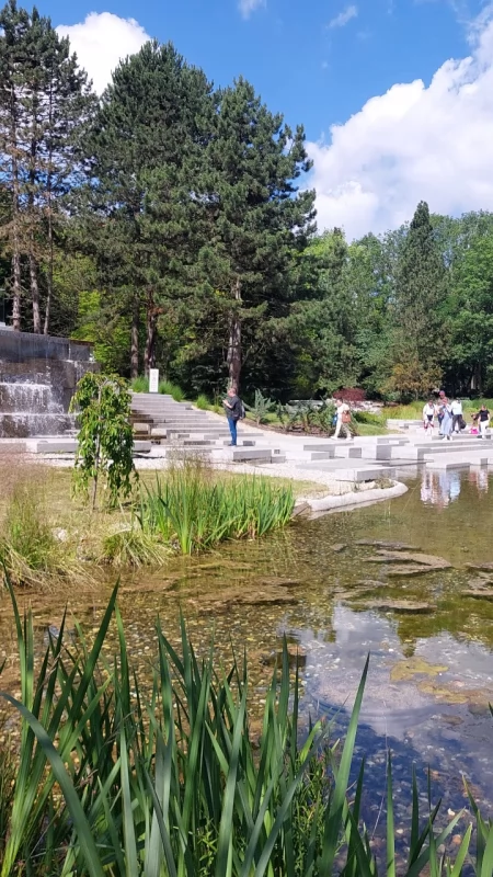 Ruszają letnie koncerty w Parku Śląskim. Wstęp jest bezpłatny