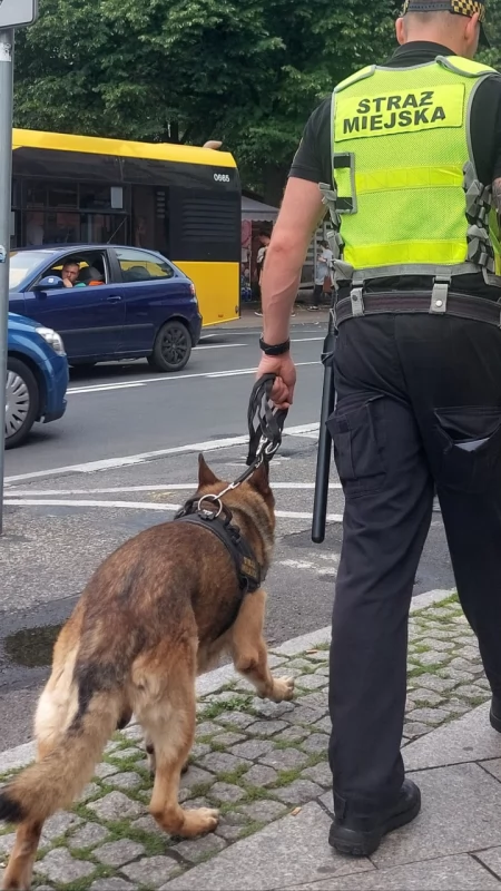 20 miejsc pracy w Straży Miejskiej. Katowice rozpoczęły dużą rekrutację