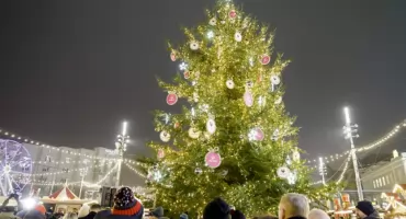 Choinka na katowickim rynku została rozświetlona