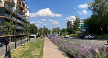 Grupa radnych chce, żeby dzieci z nowych osiedli na granicy Śródmieścia i Brynowa mogły chodzić do innych szkół. Urzędnicy się zastanawiają