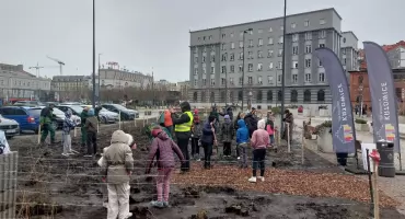 Mikrolas będzie rósł w centrum Katowic. Takie zielone przestrzenie mają powstać w każdej dzielnicy