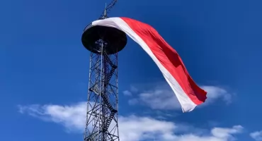 Nowa zieleń wokół wieży spadochronowej. Na razie wygląda bardzo niepozornie