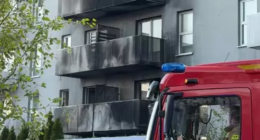 Pożar na osiedlu w Katowicach. Zapaliła się donica, ogień objął elewację