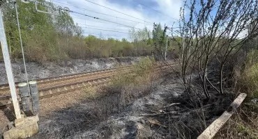 Pożar przy torach w Katowicach. Spłonęło 1,5 ha, ruch pociągów został wstrzymany