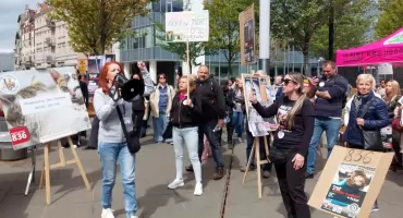 Tysiące kociąt i szczeniąt przychodzą niepotrzebnie na świat. Manifestujący w Katowicach mówili: „Mamy dość”