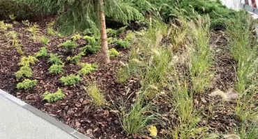 Miasto ogłosiło przetargi na pierwszych 10 parków kieszonkowych