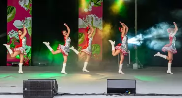 Dziś w Ligocie Święto Kwitnących Głogów. Będzie muzyka, warsztaty i atrakcje dla dzieci