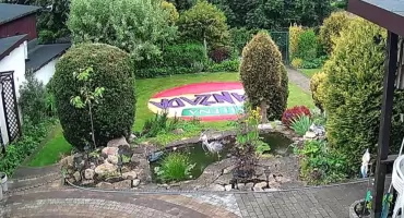 Z oczka wodnego na ogródkach działkowych w centrum Katowic czapla wyjadła wszystkie ryby [WIDEO]