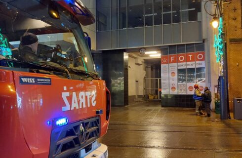 Strażacy ściągali nietoperza z fasady budynku w centrum Katowic