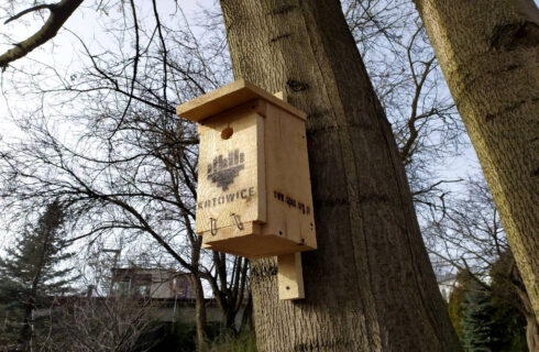 Katowice rozdają mieszkańcom budki dla ptaków