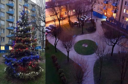 Mieszkańcy Koszutki chcieli przystroić choinkę na święta, ale spółdzielnia wycięła drzewko