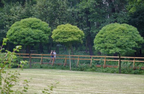 Dzień dobry Katowice. Na Muchowcu powstaje park linowy