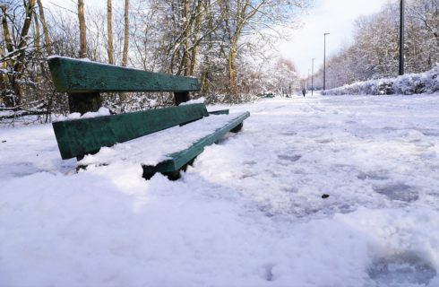 Dzień dobry Katowice. Trwa wycinka w Katowickim Parku Leśnym