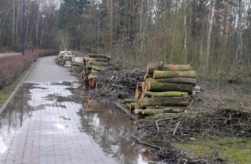 Dzień dobry Katowice. Muchowiec jeszcze bardziej się zapadnie