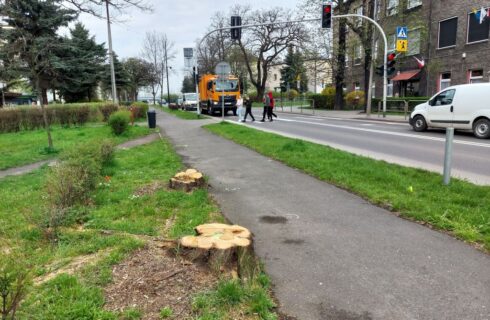 Kilkadziesiąt drzew zostało wyciętych, żeby mogła powstać droga rowerowa